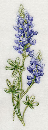 Breathtaking Bluebonnets Spray