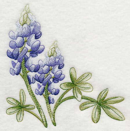 Breathtaking Bluebonnets Corner 1