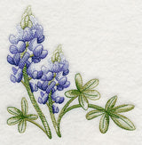 Breathtaking Bluebonnets Corner 1