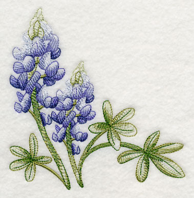 Breathtaking Bluebonnets Corner 1