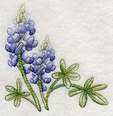 Breathtaking Bluebonnets Corner 1