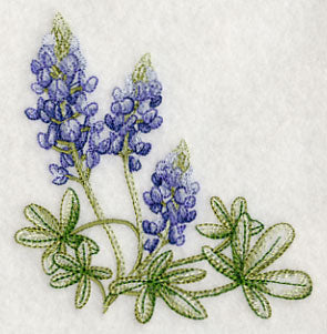 Breathtaking Bluebonnets Corner 2