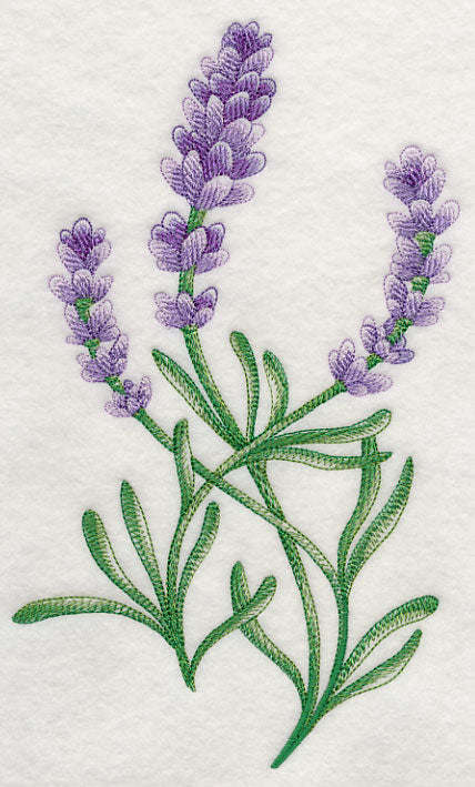 lavish purple lavender plant Lavish Lavender 1 All Sizes | Machine Embroidery Design