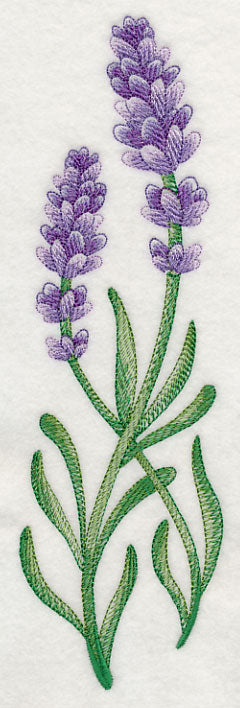 Lavish Lavender Spray