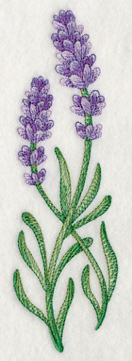 Lavish Lavender Spray