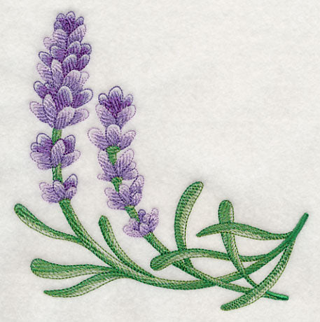 Lavish Lavender Corner 2