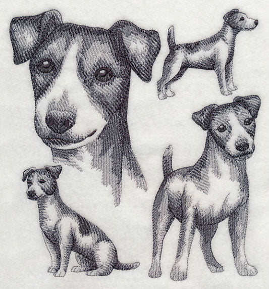 Jack Russell Terrier Sketch (Docked Tail)