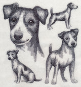Jack Russell Terrier Sketch (Docked Tail)