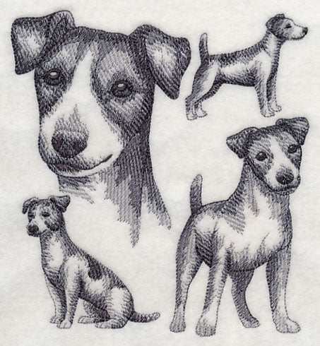 Jack Russell Terrier Sketch (Docked Tail)