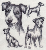 Jack Russell Terrier Sketch (Docked Tail)