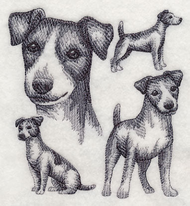 Jack Russell Terrier Sketch (Docked Tail)