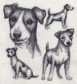 Jack Russell Terrier Sketch (Docked Tail)