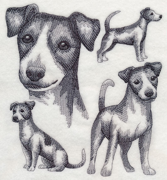 Jack Russell Terrier Sketch (Full Tail)