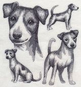 Jack Russell Terrier Sketch (Full Tail)