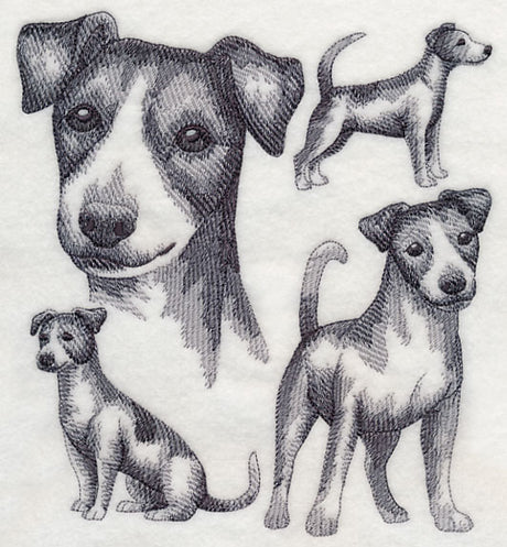 Jack Russell Terrier Sketch (Full Tail)