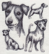 Jack Russell Terrier Sketch (Full Tail)