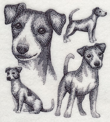 Jack Russell Terrier Sketch (Full Tail)
