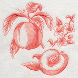 Peach Botanical (Toile)