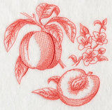Peach Botanical (Toile)