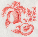 Peach Botanical (Toile)