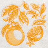 Orange Botanical (Toile)