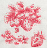 Strawberry Botanical (Toile)
