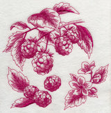 Raspberry Botanical (Toile)
