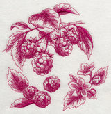 Raspberry Botanical (Toile)