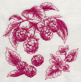 Raspberry Botanical (Toile)