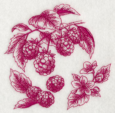 Raspberry Botanical (Toile)
