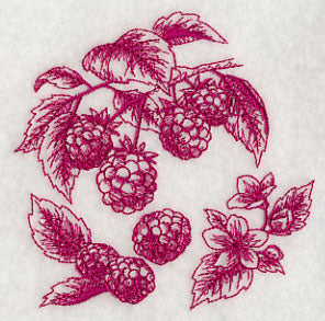 Raspberry Botanical (Toile)