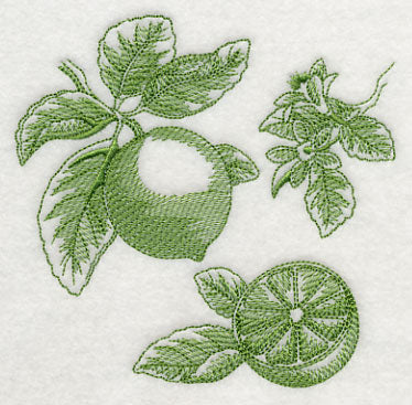 Lime Botanical (Toile)