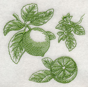 Lime Botanical (Toile)