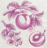 Plum Botanical (Toile)