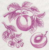 Plum Botanical (Toile)