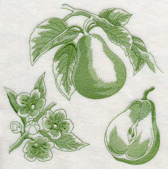 Pear Botanical (Toile)