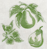 Pear Botanical (Toile)