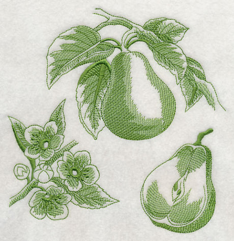 Pear Botanical (Toile)