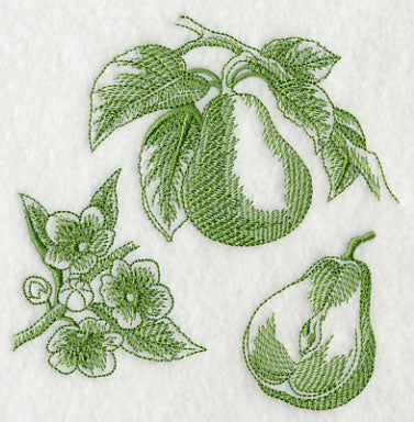 Pear Botanical (Toile)