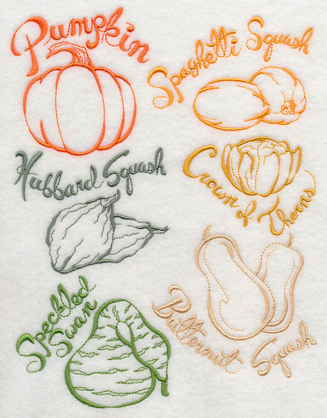 Squash and Gourds
