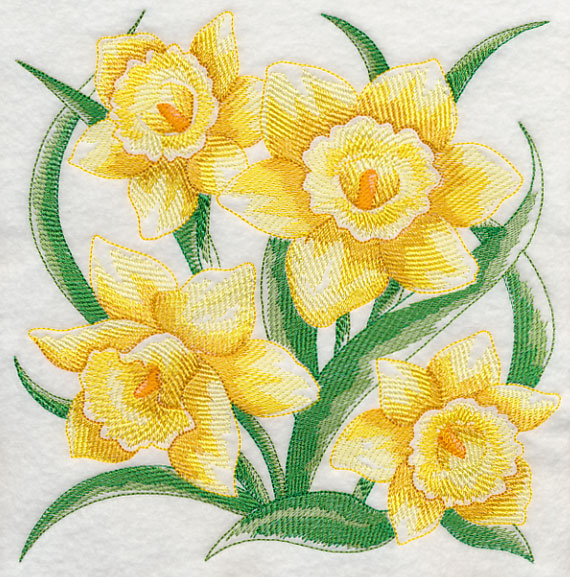 Daffodil Sketch