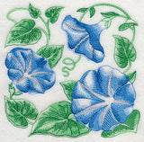 Morning Glory Sketch