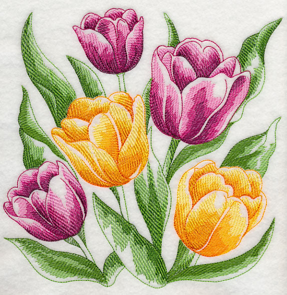 Tulips Sketch