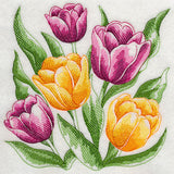 Tulips Sketch