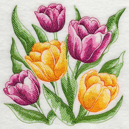 Tulips Sketch