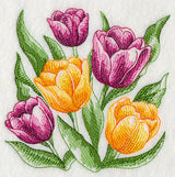 Tulips Sketch