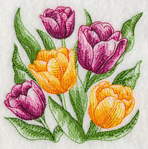 Tulips Sketch
