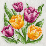 Tulips Sketch