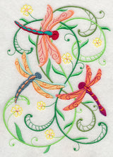 Dragonfly Delight