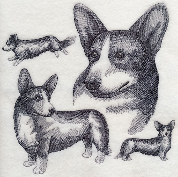 Cardigan Welsh Corgi Sketch